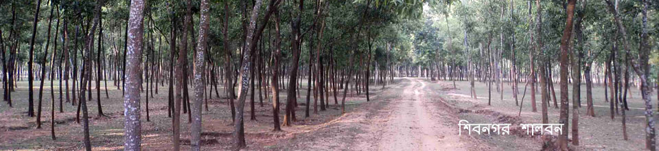 শিবনগর শালবন