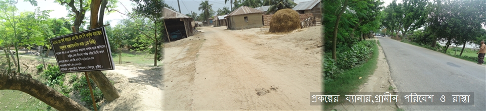 প্রকল্পের ব্যানার,গ্রামীন পরিবেশ ও রাস্তা