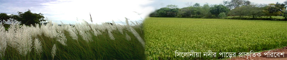 সিলোনীয়া নদীর দু‘পাশের প্রাকৃতিক পরিবেশ