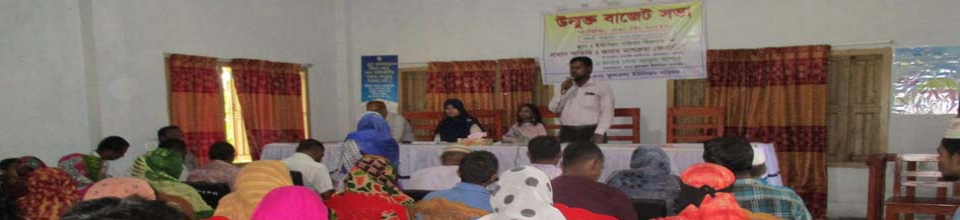 ফুলতলা ইউনিয়নের উন্মু্ক্ত বাজেট এর ছবি