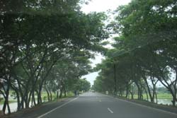 স্থানীয় সরকার প্রকৌশল