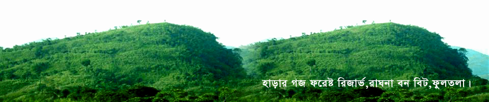 হাড়ার গজ রিজার্ভ