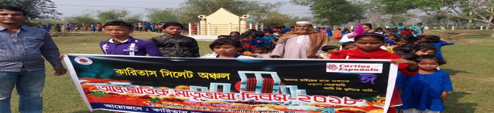 কারিতাস