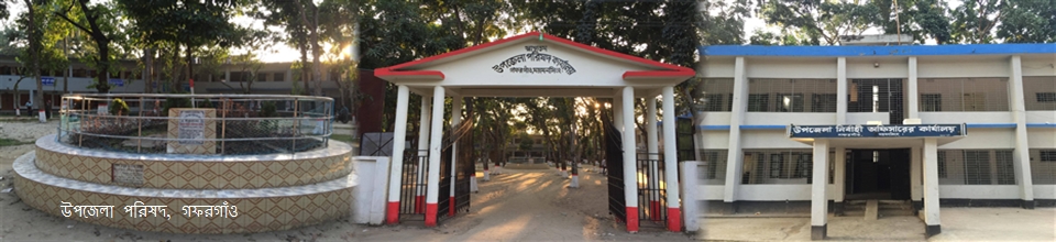 উপজেলা পরিষদ