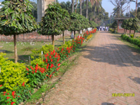 Advertisement Block