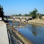 ফটো গ্যালারী 