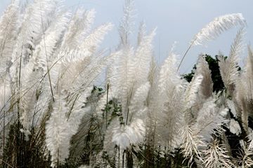 প্রাকৃতিক সৌন্দর্য