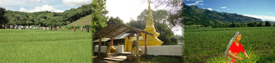১নং গজালিয়া ইউনিয়ন