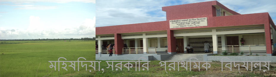 প্রাথমিক বিদ্যালয়