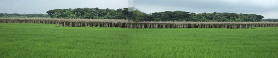 ব্যানার