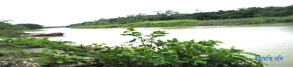 ইছামতি নদি