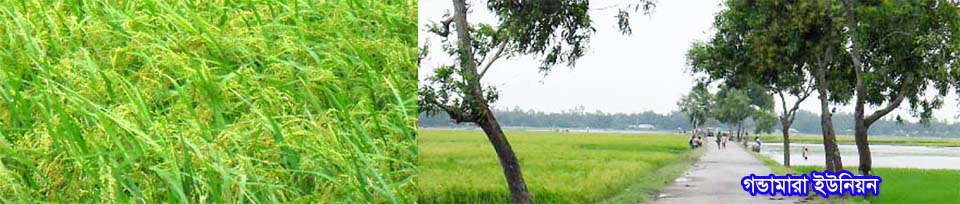 ৯নং গন্ডামারা ইউনিয়ন