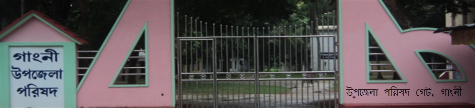 উপজেলা পরিষদ গেট, গাংনী
