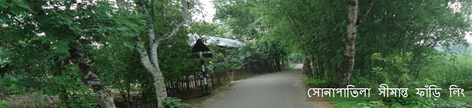 সোনা পাতিলা সীমান্ত ফাড়ী লিং রোর্ড