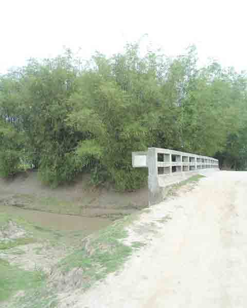 বিবিধ