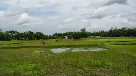 ভূমি অফিস