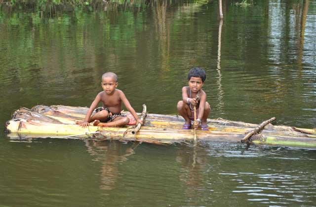 বিবিধ