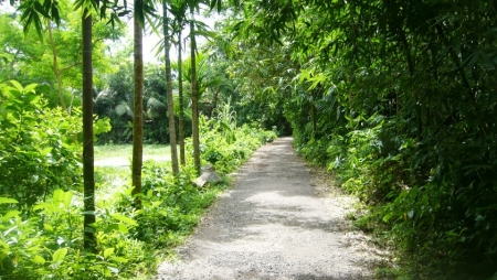 প্রকৌশল