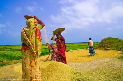 কৃষি ও প্রাণিসম্পদ