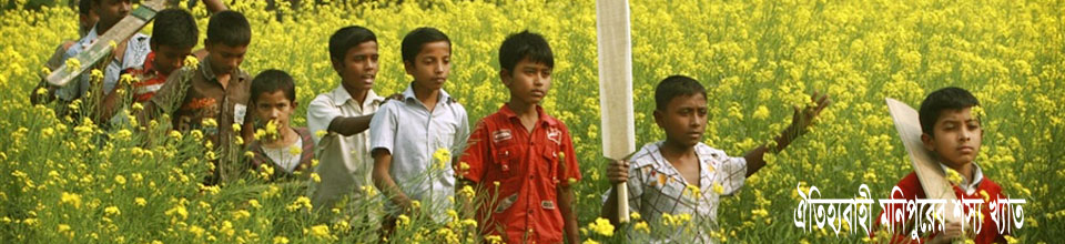 ব্যানার