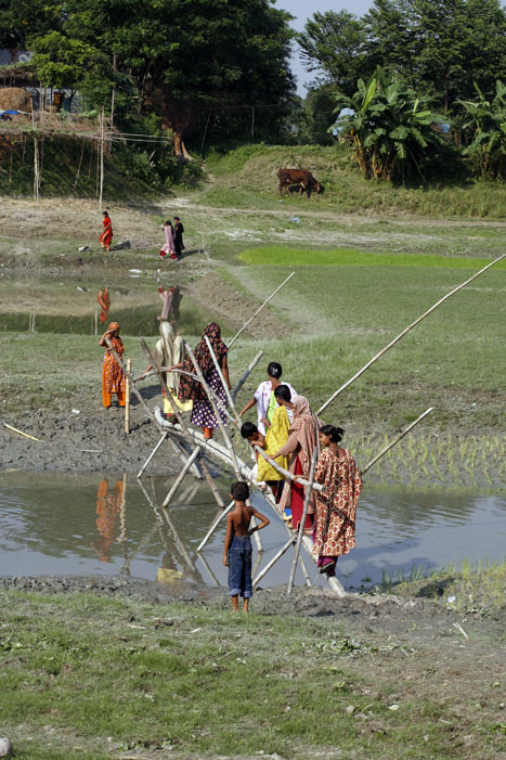 সমাজ সেবা