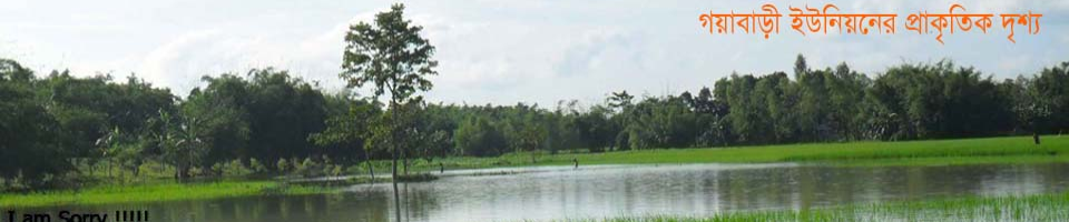 ৫নং গয়াবাড়ী ইউনিয়ন ব্যানার