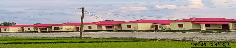 গজারিয়া আদর্শ গ্রাম