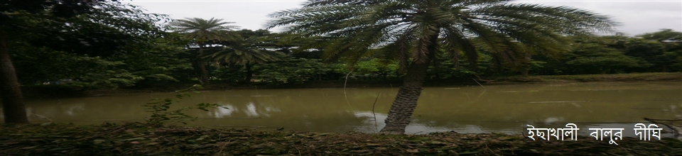 ইছাখালী বালুর দীঘি