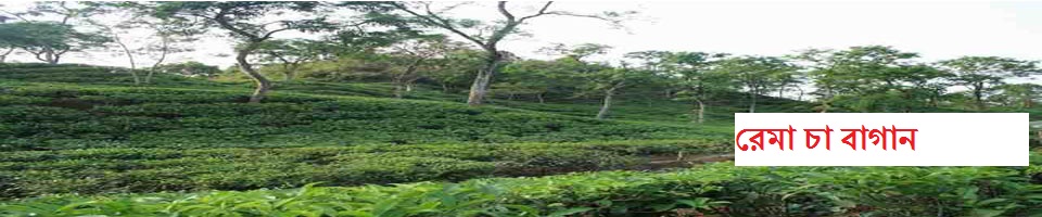রেমা চা বাগান ১নং গাজীপুর ইউ.পি