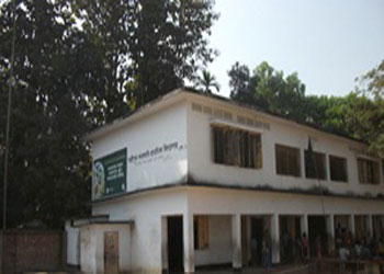 ফটো গ্যালারী