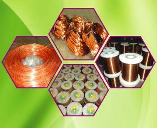 গাওলিঃ’র পণ্য ও সেবা