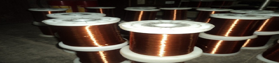 উৎপাদিত পণ্য