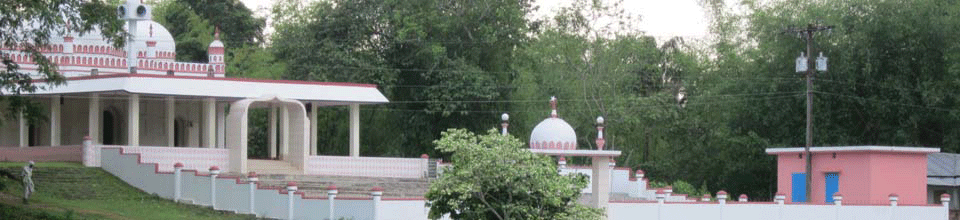 শতক জামে মসজিদ