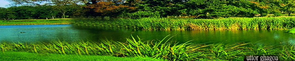 উত্তর ঘাগোয়া মৌজার একটি পুকুর