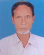 মো: রফিকুল ইসলাম