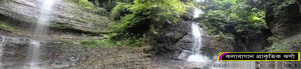 কলাবাগান প্রাকৃতিক ঝর্ণা