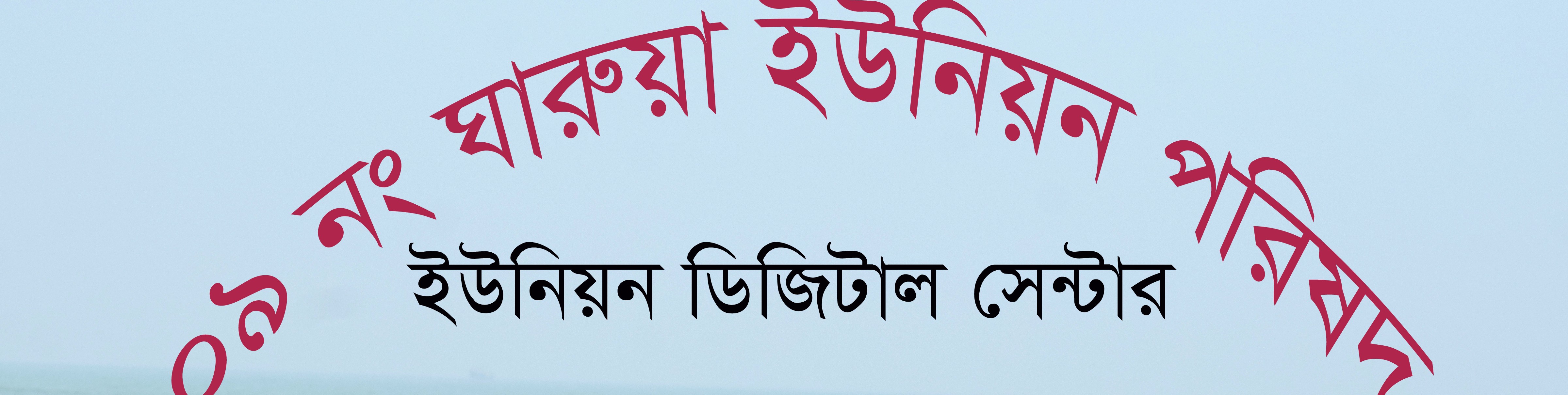 জাতীয় তথ্য বাতায়ন কর্মশালা