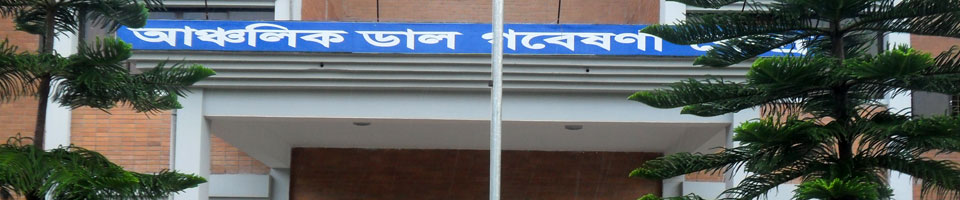 ডাল গবেষণা কেন্দ্র