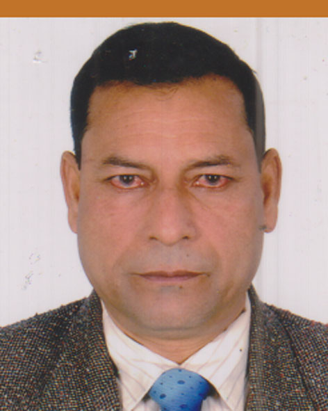 ফটো গ্যালারী 