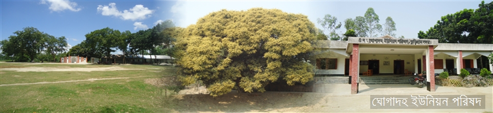 ঘোগাদহ ইউনিয়ন পরিষদ