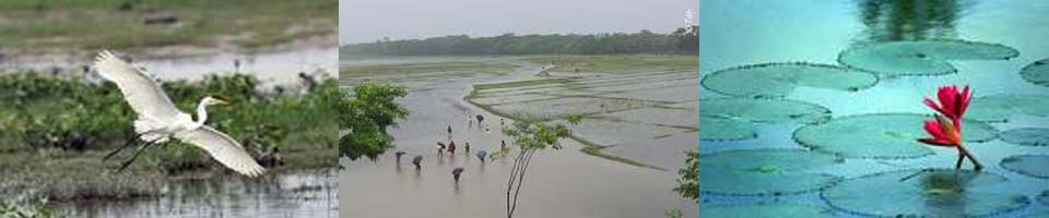 প্রাকৃতিক দৃশ্য