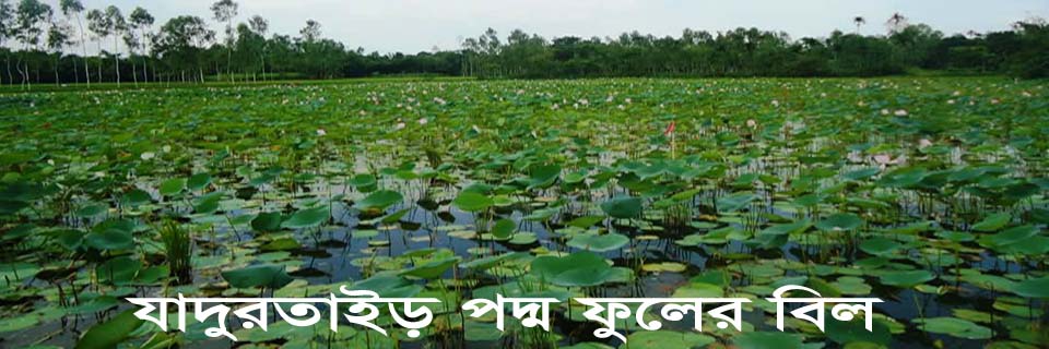 যাদুরতাইড় বিল