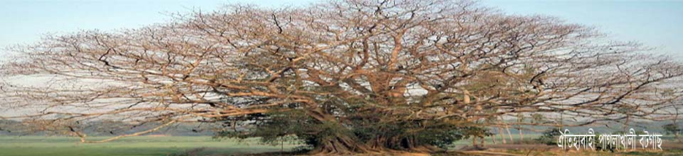 ব্যানার