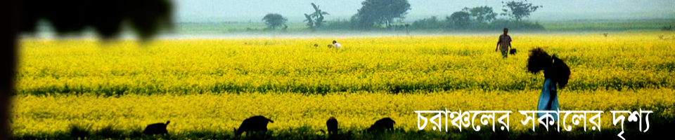 চরাঞ্চলের সকালের দৃশ্য