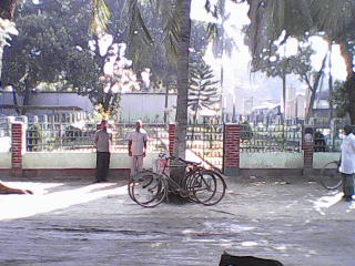 হাফছা আক্তার কলি