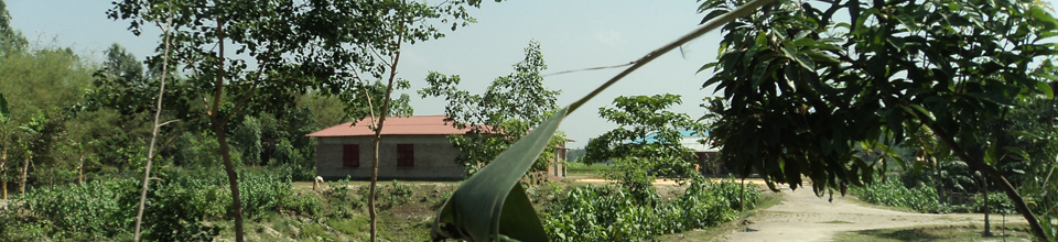 গিদারী ইউনিয়নের একটি রাস্তা