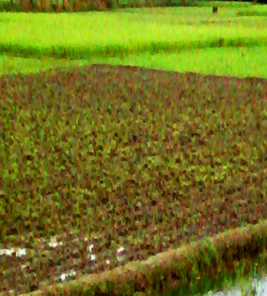 ভূমি অফিস