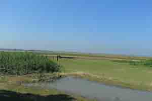 ফটোগ্যালারী