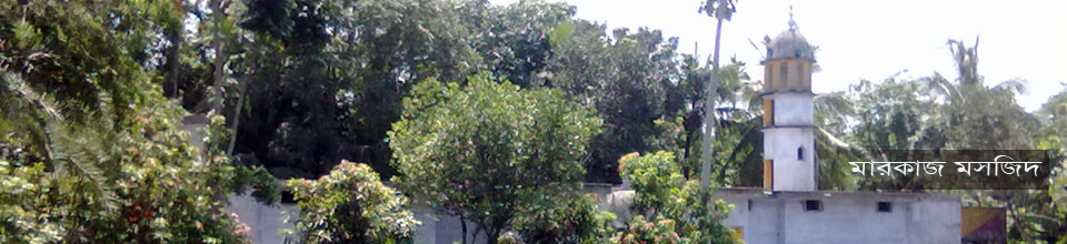 গদাইপুর মারকার্জ মসজিদ