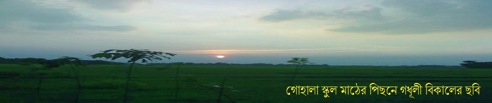 গোহালা স্কুল মাঠের পিছনে গধূলী বিকালের ছবি